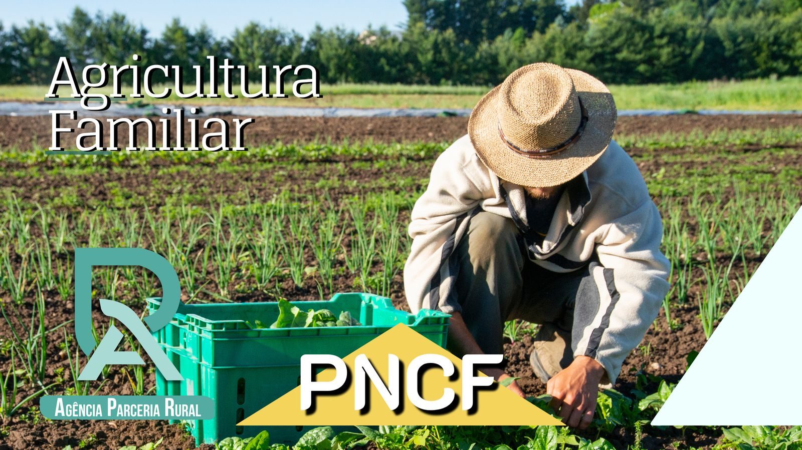 Consultoria em crédito rural